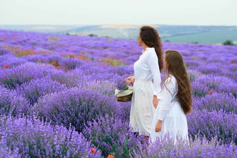 M?dchen sind auf dem Lavendelblumengebiet, sch?ne Sommerlandschaft lizenzfreie stockfotos M?dchen sind auf dem Lavendelblumengebiet, sch?ne Sommerlandschaft lizenzfreie stockfotos