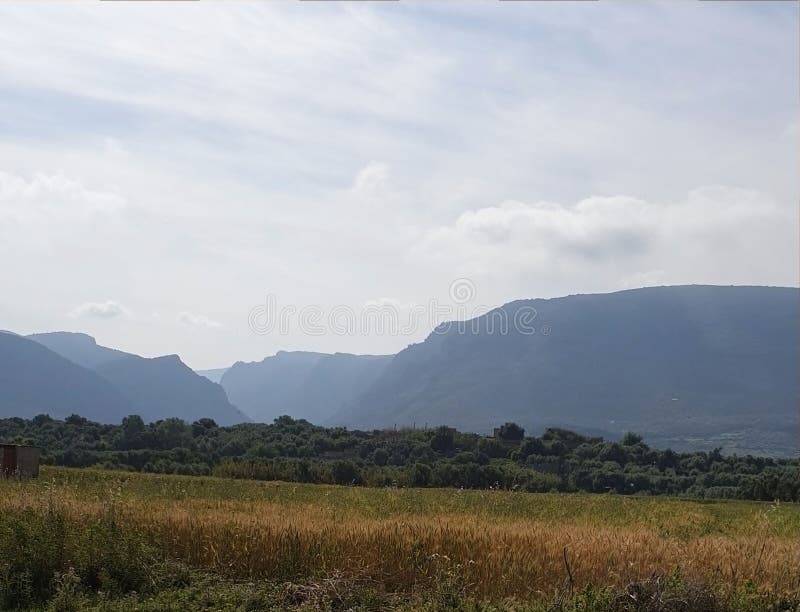 M?lodie de nature images stock M?lodie de nature images stock