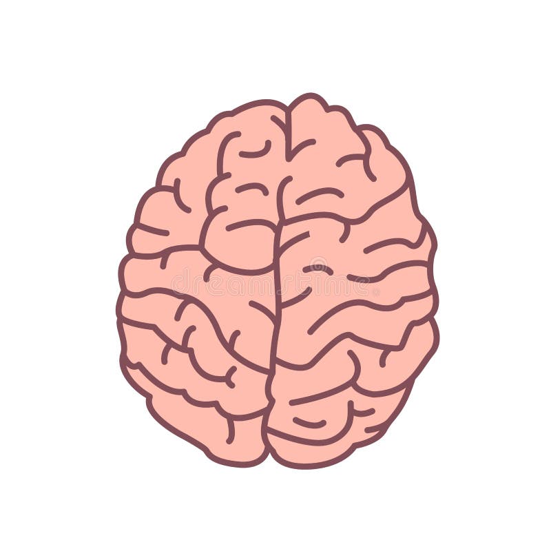 M?nsklig hj?rna som isoleras p? vit bakgrund Organ av nervsystemet Symbol av intelligens, mindfulness, kognition vektor illustrationer M?nsklig hj?rna som isoleras p? vit bakgrund Organ av nervsystemet Symbol av intelligens, mindfulness, kognition vektor illustrationer