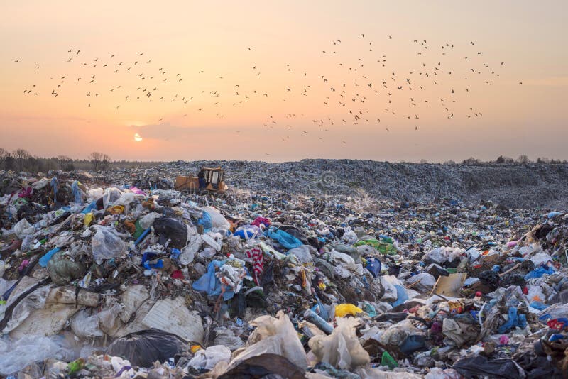 Birds gulls fly over a landfill in Europe, like over a huge sea of garbage in search of food. Waste lies thickly up to the forest, attracting birds and rodents. Birds gulls fly over a landfill in Europe, like over a huge sea of garbage in search of food. Waste lies thickly up to the forest, attracting birds and rodents