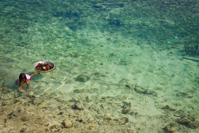 Mabul Island Child searching for sea urchin royalty free stock images Mabul Island Child searching for sea urchin royalty free stock images