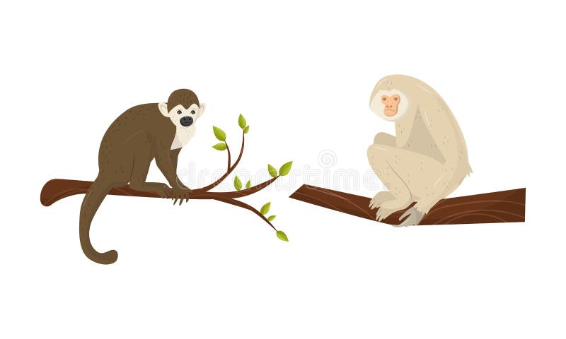 Macaco-desenho Na árvore E Polegares Para Cima Ilustração do Vetor -  Ilustração de nave, bebê: 236602163