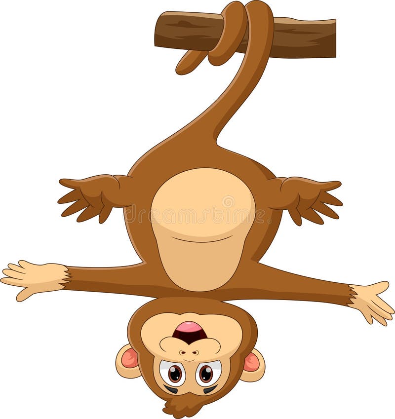 bonitinho macaco-prego desenho animado árvore pendurada 14328833 Vetor no  Vecteezy