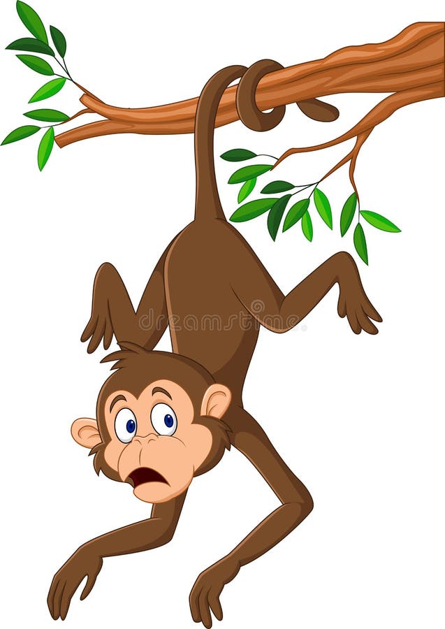 Macaco Desenho Animado Ilustração De Animal Colorido Vida Selvagem Desenho  Cauda Vetor PNG , Animais Selvagens, Desenho, Rabo Imagem PNG e Vetor Para  Download Gratuito