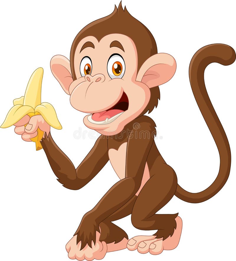 Illustration of Cartoon funny monkey holding banana isolated on white background. Illustration of Cartoon funny monkey holding banana isolated on white background