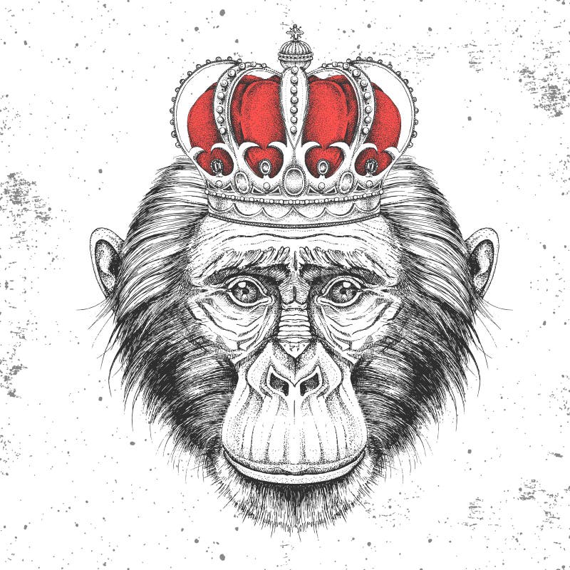 Desenho Macaco Prego Marrom Com Membros Traseiros Membros Dianteiros  Superfície vetor(es) de stock de ©PantherMediaSeller 505555832