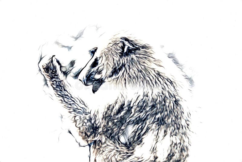 Macaco Realista Com Ilustração Colorida De árvore Desenho Da Safra Para  Design Ilustração Stock - Ilustração de imagem, colheita: 179119070