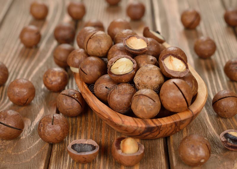 Macadamia dokrętki zdjęcia stock Macadamia dokrętki zdjęcia stock