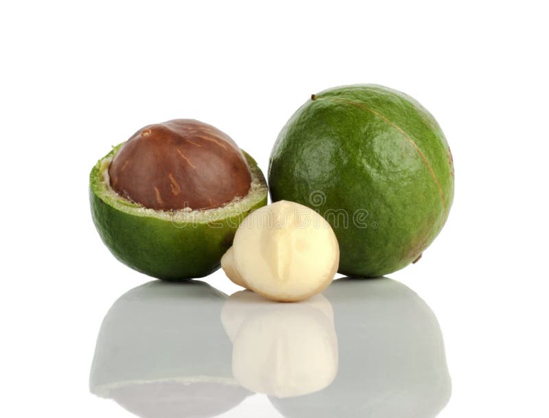macadamia noot op witte achtergrond royalty-vrije stock afbeeldingen macadamia noot op witte achtergrond royalty-vrije stock afbeeldingen
