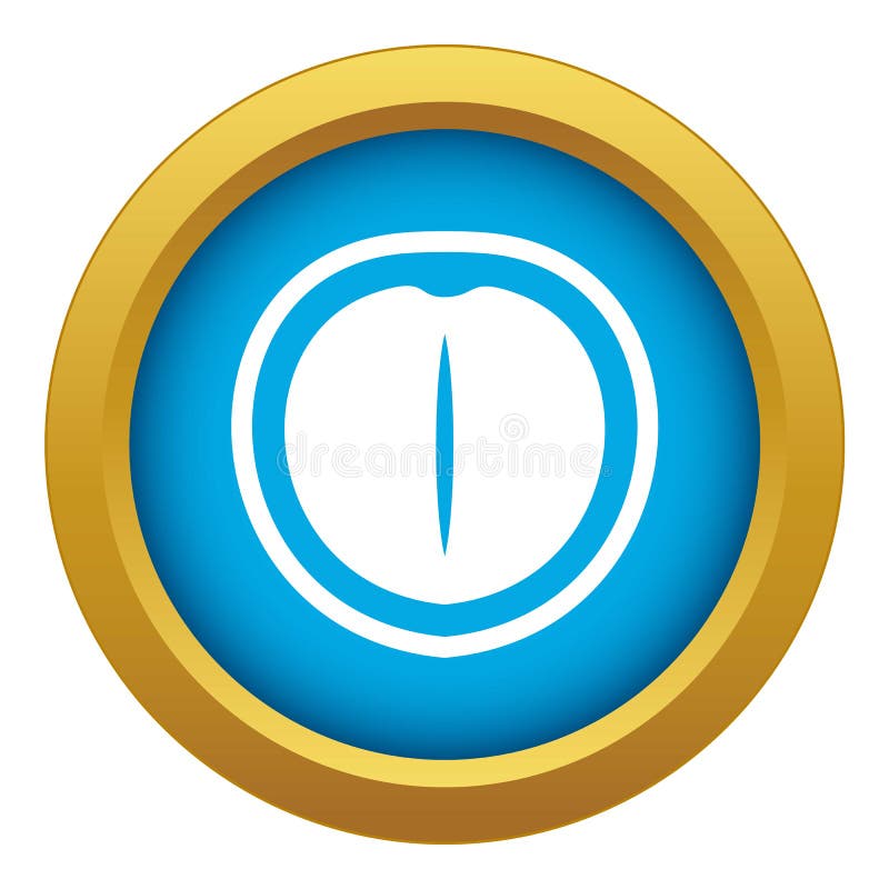 Macadamia Nut Icon Blue Vector Isolated Stock Vector Illustration of