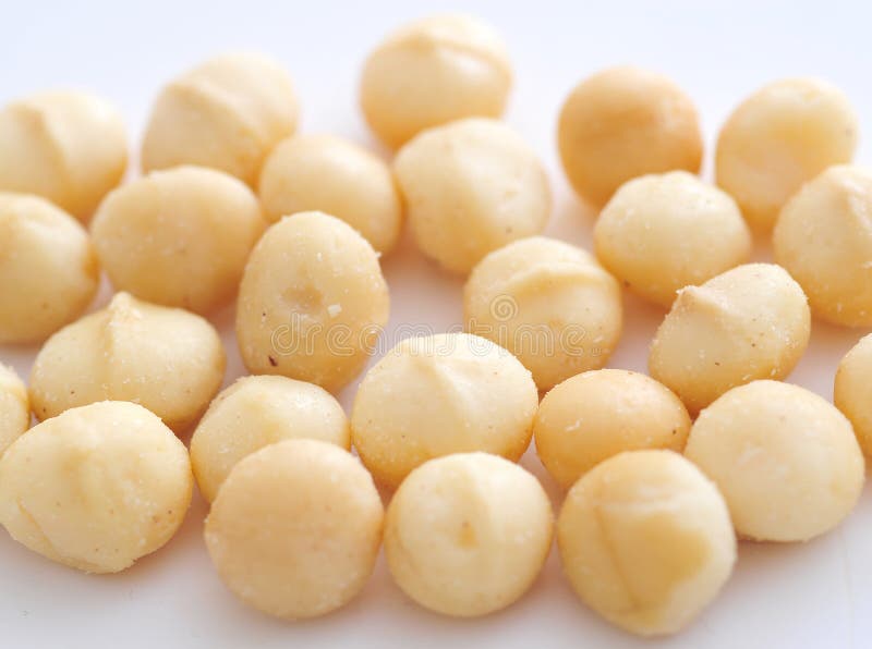 Macadamia nuts