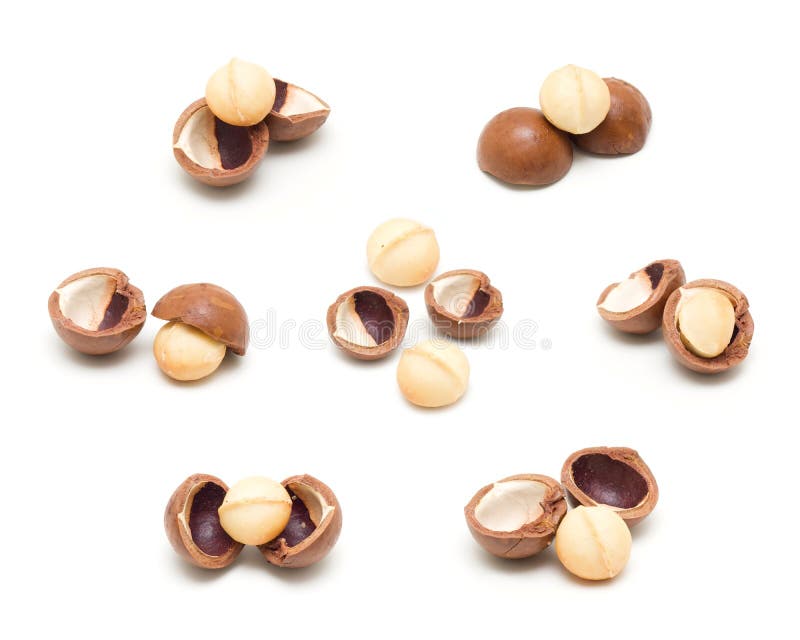 Macadamia nuts