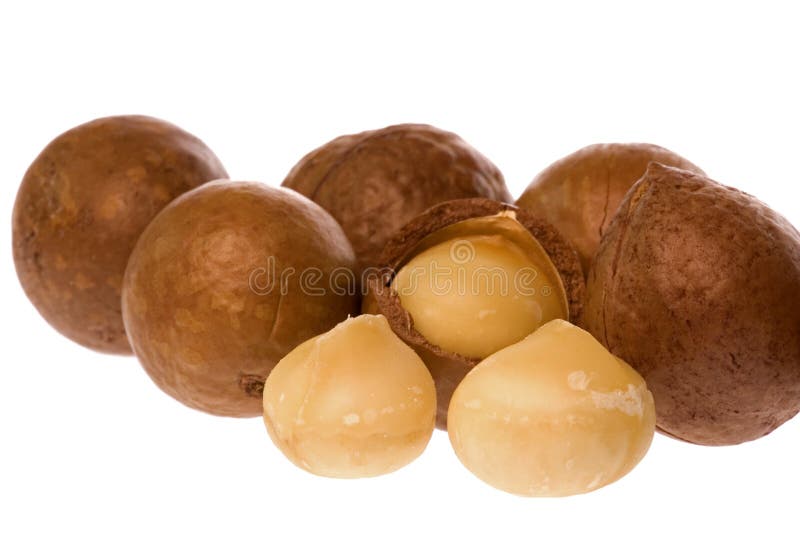 Macadamia Nuts stock image. Image of protein, ingredient 5670193
