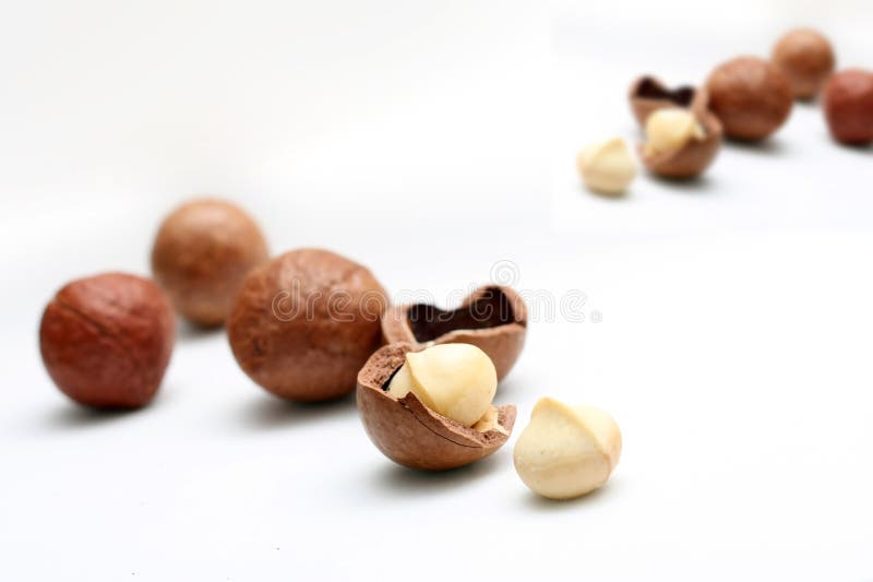 17,770 Macadamia Boom Stock Photos Free & RoyaltyFree Stock Photos