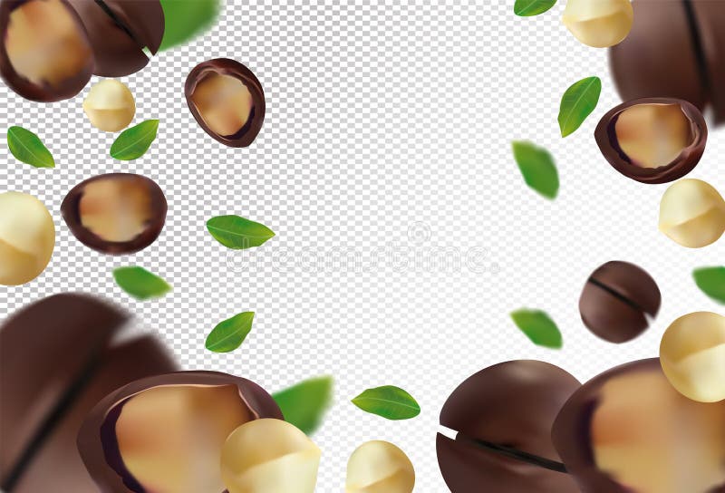 Macadamia nuts background. Flying macadamia with green leaf on transparent background. 3D realistic nuts. Macadamia royalty free illustration