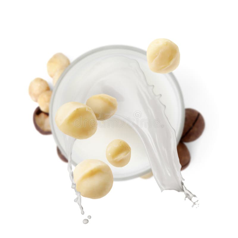 Macadamia nuts falling into glass of milk on white background, top view stock illustration