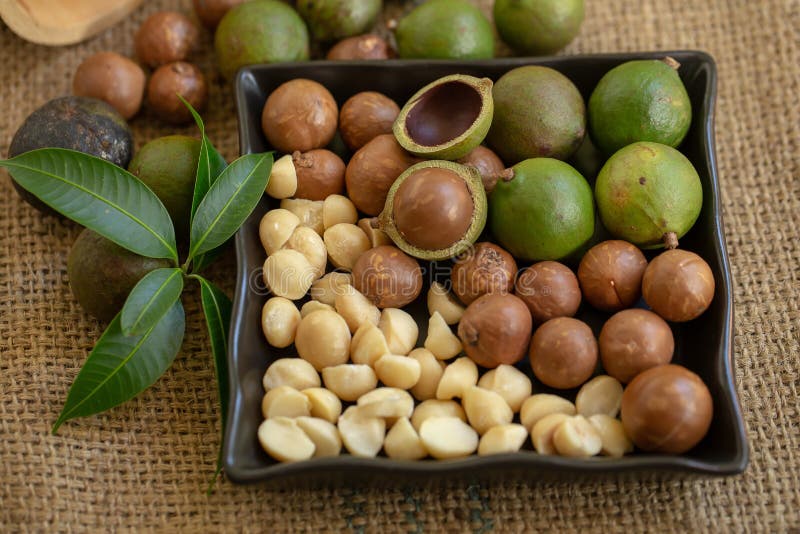 Макадамия Huile de macadamia, Liste des aliments, Noix de macadamia