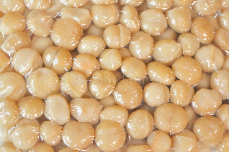 Macadamia Nuts in a Vacuum Seal Stock Photo Image of background