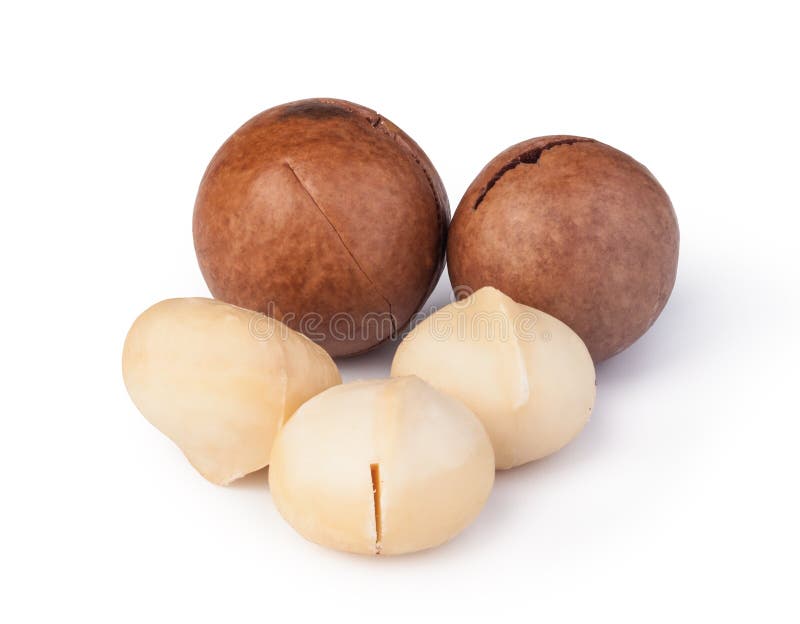 Macadamia nuts stock photo. Image of nuts, healthy, protein 66715372