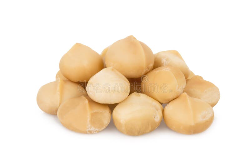 Macadamia sgusciata, isolata in bianco immagine stock