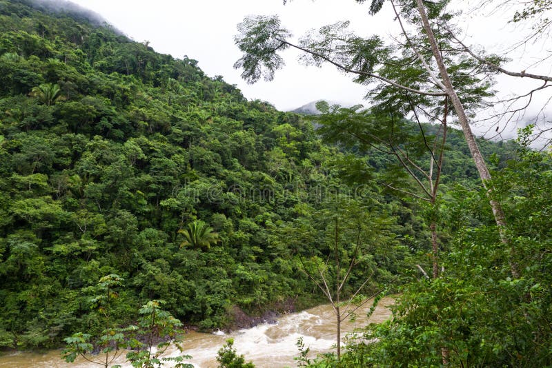 Macal River arkivbild