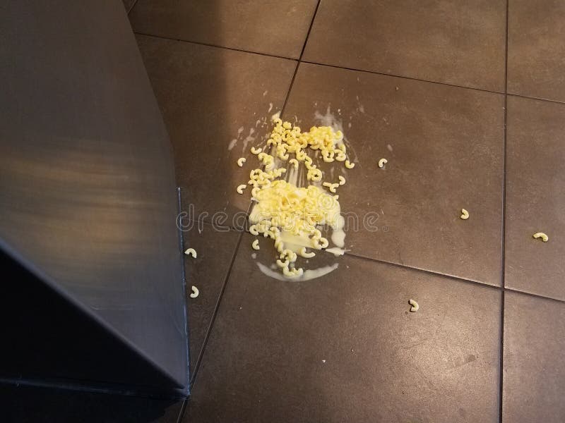 Macaroni and Cheese Spilled on Tile Floor Stock Photo - Image of