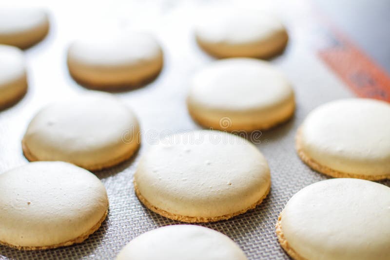 Macarons amarillos recientemente cocidos imagen de archivo Macarons amarillos recientemente cocidos imagen de archivo