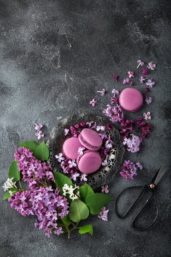 Macarons ежевики на винтажной плите, цветках сирени и ножницах стоковые изображения rf