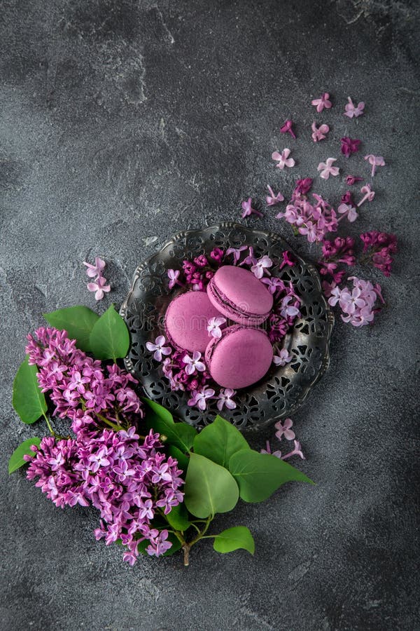 Macarons ежевики на винтажных цветках плиты и сирени над серым цветом стоковая фотография