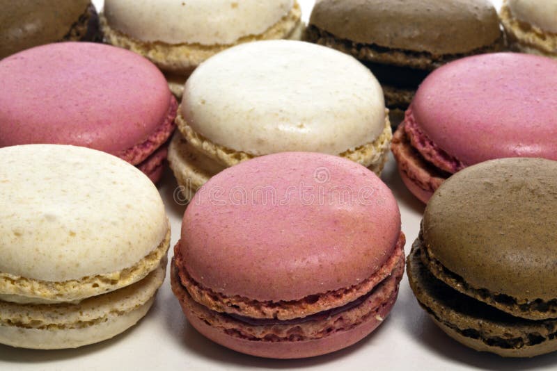 Pink Macaroon Biscuit Closeup. Stock Photo Image of closeup, eating