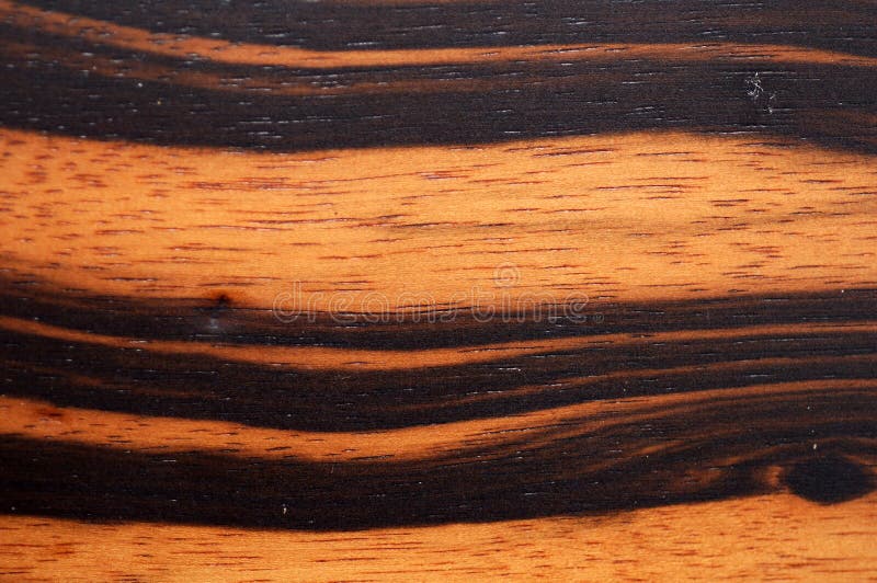 Macassar Ebony Wood Stock Photo Image Of Interior Wood