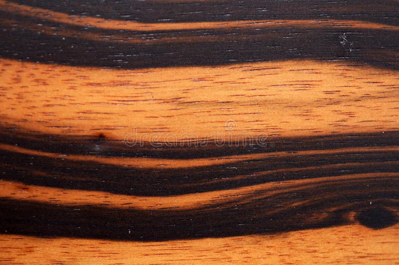 Macassar Ebony Wood Stock Photo Image Of Interior Wood