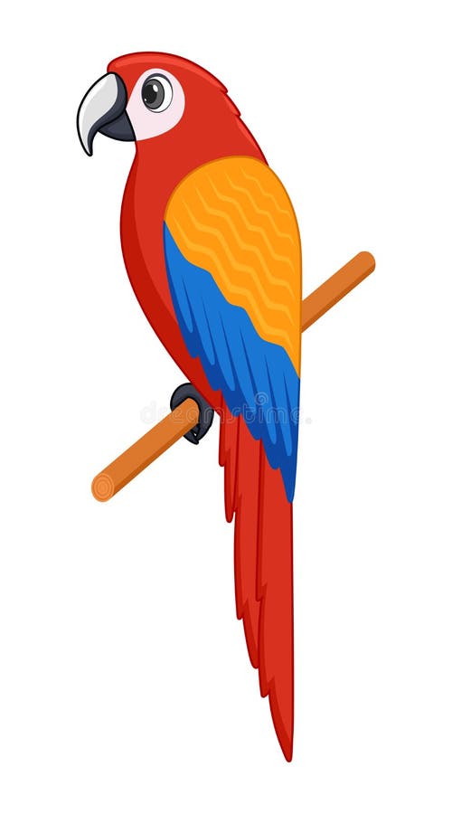 Macaw Bird on a White Background Stock Vector - Illustration of drawing, mascot: 198016568 Macaw Bird on a White Background Stock Vector - Illustration of drawing, mascot: 198016568