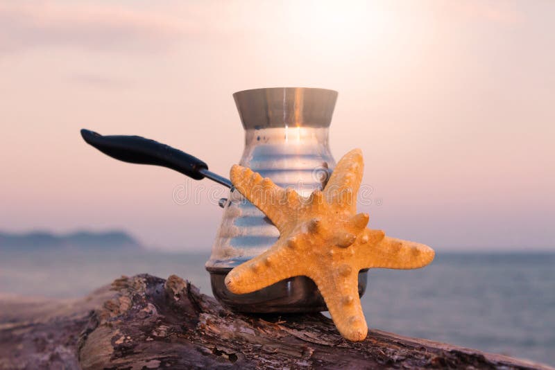 Macchinetta del caffè con caffè e le stelle marine di recente preparati fotografia stock libera da diritti
