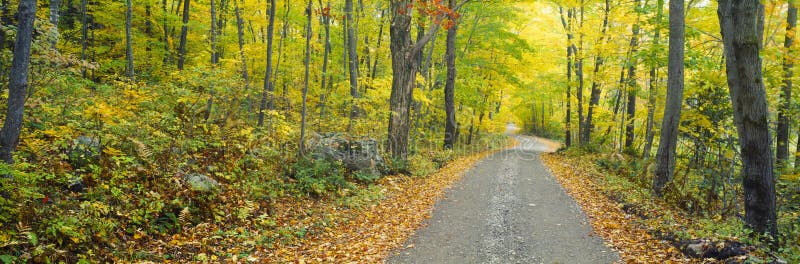 78,062 Macedonia Stock Photos Free & RoyaltyFree Stock Photos from