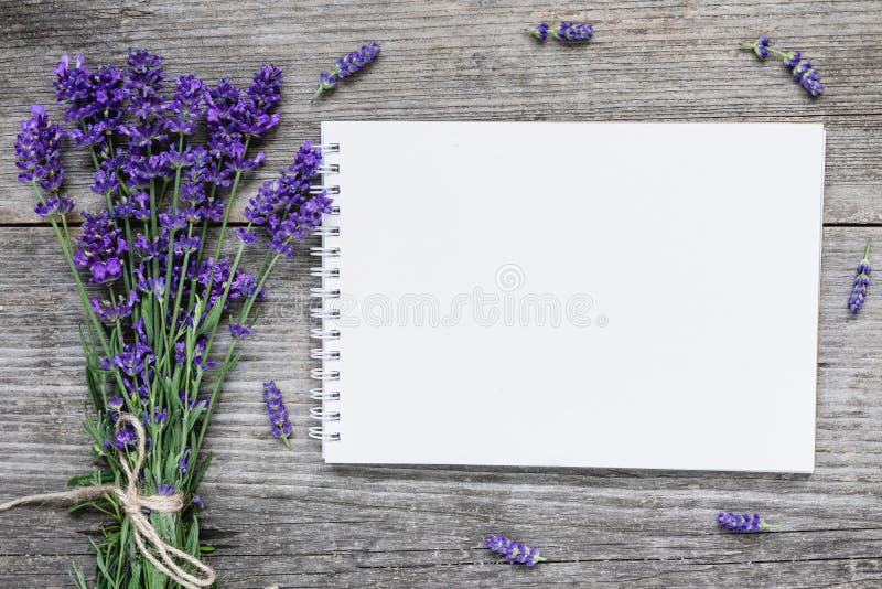 Machetă de hârtie albă cu flori de levănțică pe o masă rustică din lemn. plat. stock photos