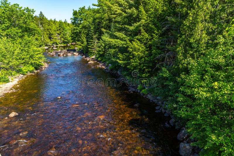 The Machias River