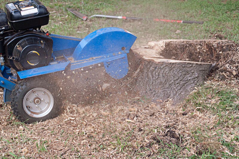 Machine Grinding Tree Stump