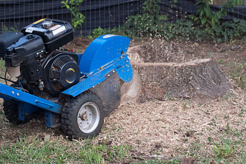 Machine Grinding Up Tree Stump