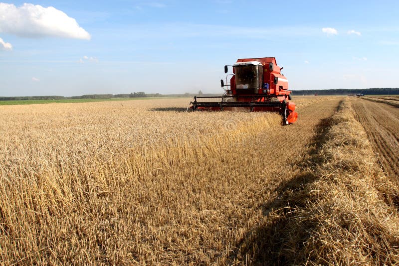 Machine harvesting