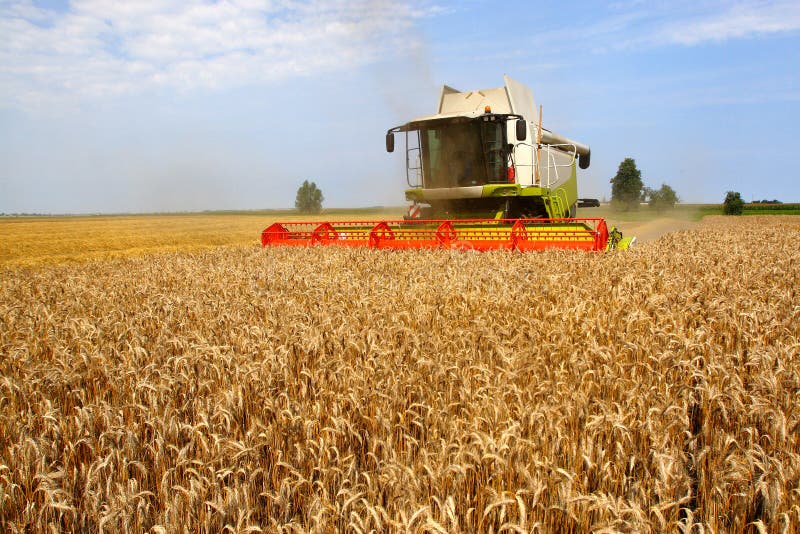 Machine harvesting