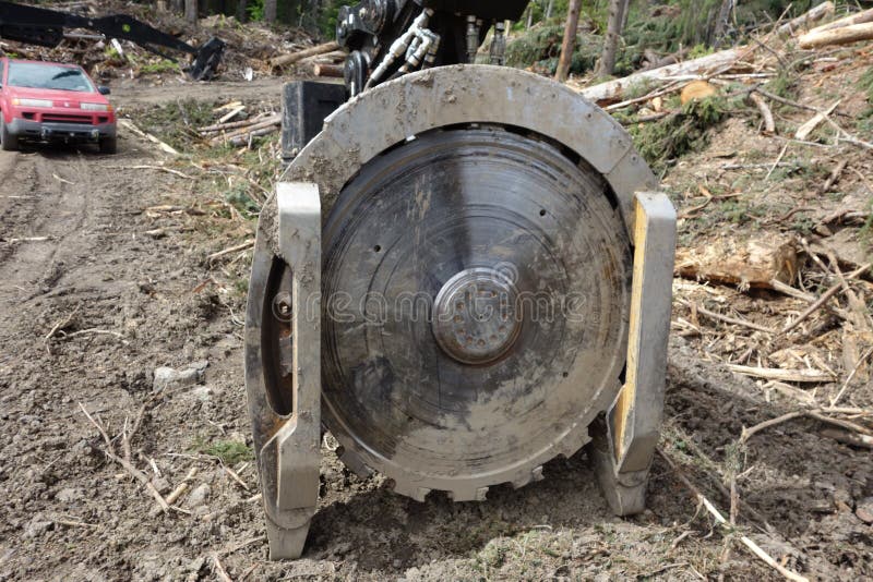 Machinery used for logging editorial image. Image of lumber 43724175