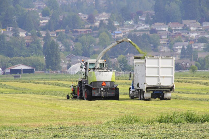 Machines agricoles moissonnant le foin image stock Machines agricoles moissonnant le foin image stock