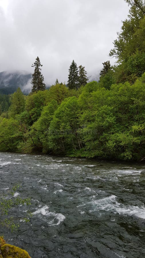 Mackenzie river oregon stock image. Image of landscape 56122083