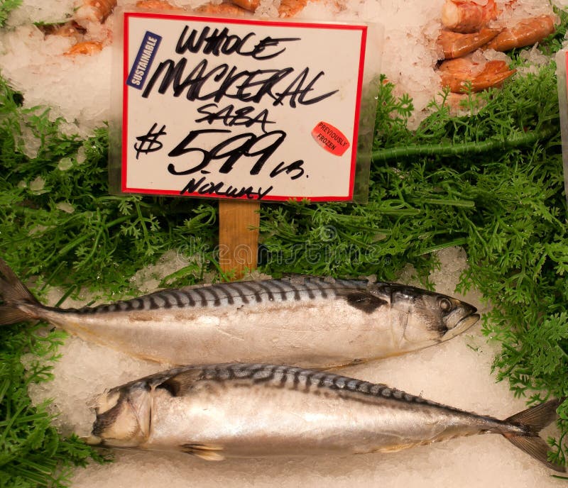 Mackerel stock image. Image of horizontal, head, sale 17540085