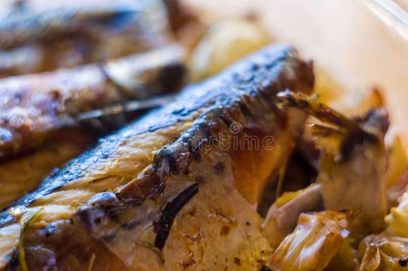 Mackerel Baked in the Oven, Home Dish, Closeup Stock Image Image of