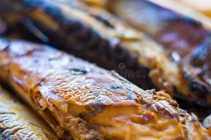 Mackerel Baked in the Oven, Home Dish, Closeup Stock Photo Image of food, baked 189486734