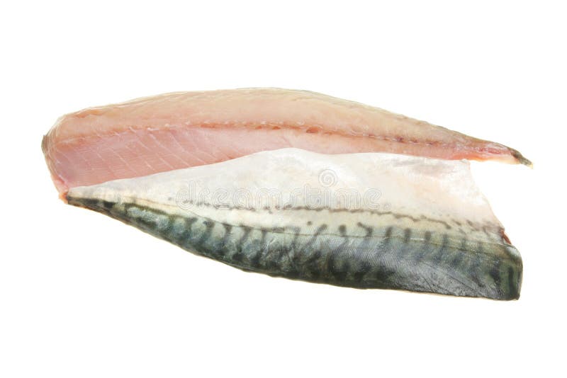 Mackerel fillets