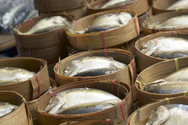 Mackerel Fish in the Market Stock Photo Image of food, market 37952768