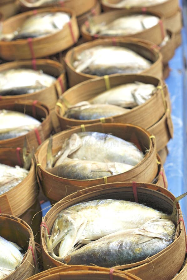 Mackerel Fish in the Market Stock Image Image of underwater